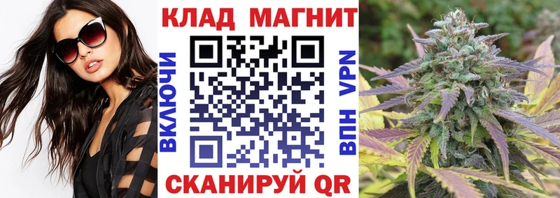 Купить наркотик Данков Галлюциногенные грибы  Конопля 