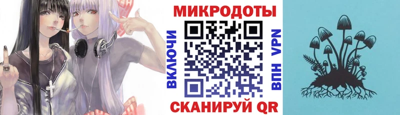 закладки Данков Псилоцибиновые грибы Psilocybe