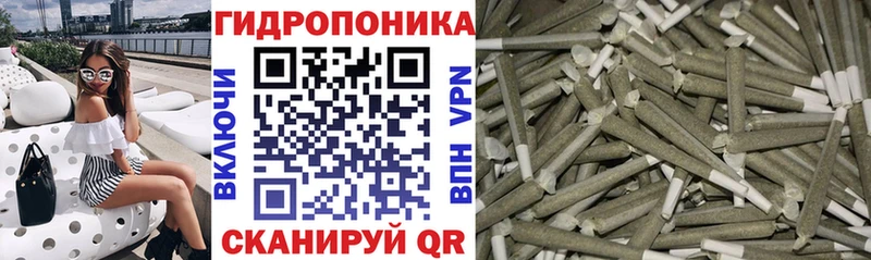 Бошки марихуана AK-47 сайты даркнета какой сайт Данков где купить наркоту